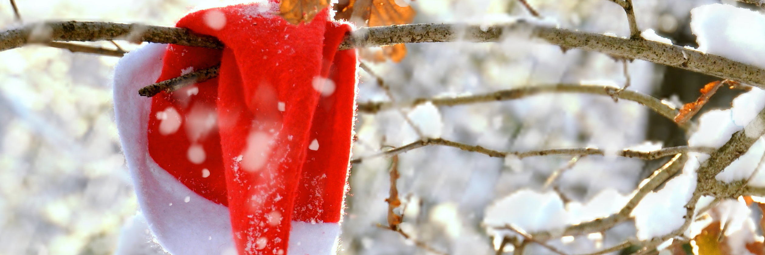 Rote Nikolausmütze auf schneebedecktem Zweig