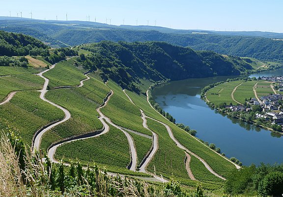 Piesport an der Mosel