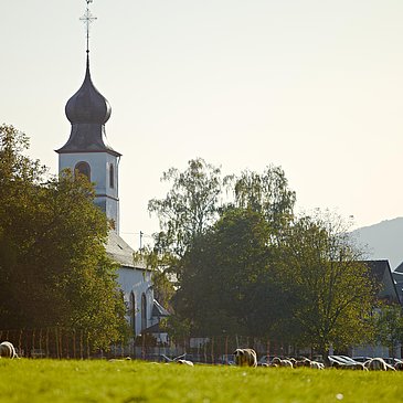 Kirche Brauneberg