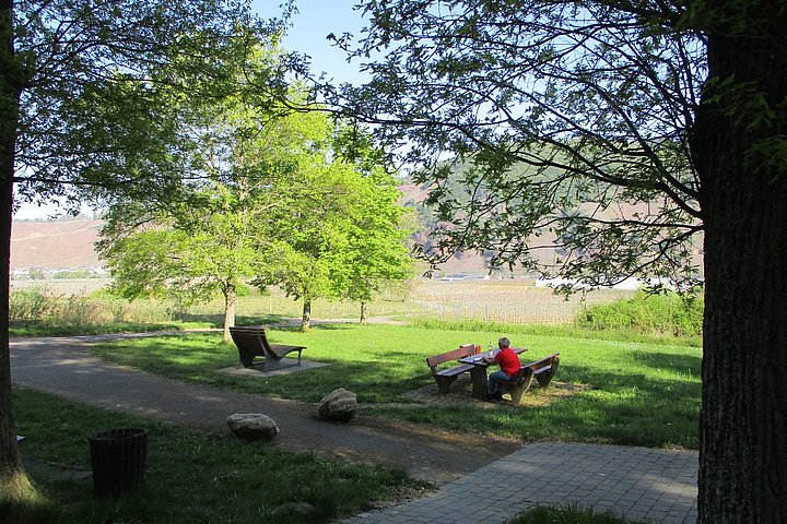 Rastplatz und Ruhebank in der Nähe der Waldkapelle