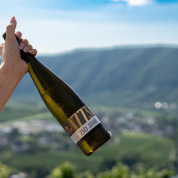 Weinflasche Weingut Reef