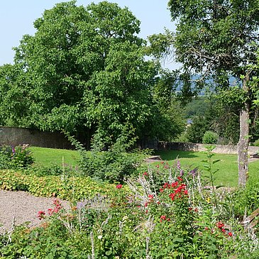 Grüner Garten