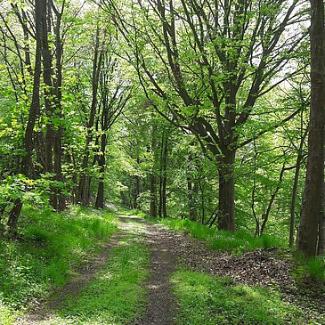 Wanderweg 2