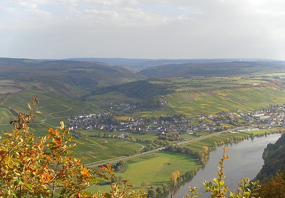 Neumagen-Dhron an der Mosel