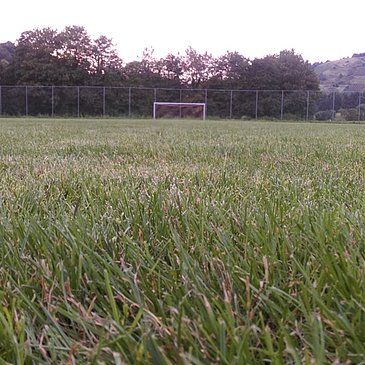 SV Neumagen-Dhron - Sportplatz mit Logo