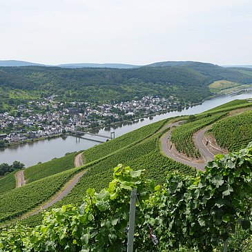 Ausblick auf's Moseltal