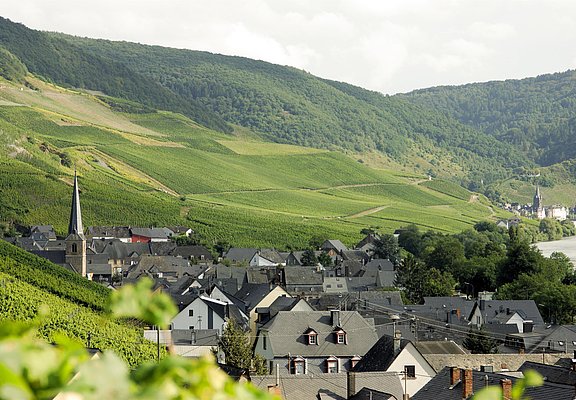 Graach an der Mosel
