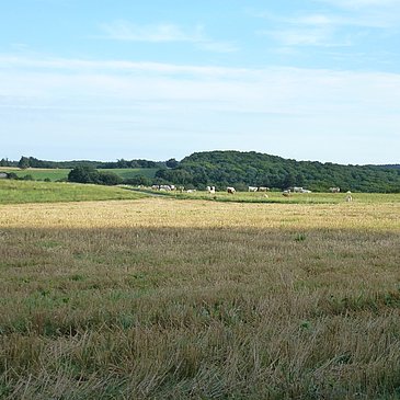 Ausblick auf die Wiesenlandschaft