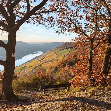 Mosel im Herbst