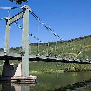 Hängebrücke in Wehlen