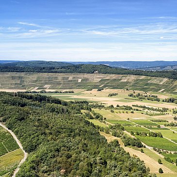 Umlaufberge bei Maring und Lieser entdecken