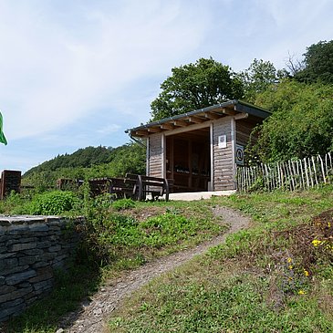 Weinbergshütte bei Wehlen
