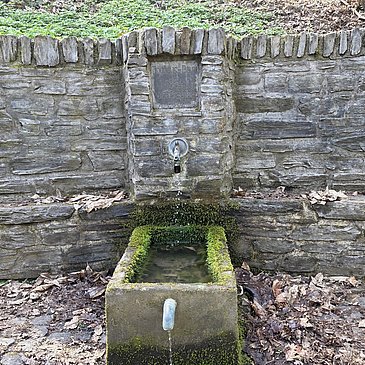 Joducusbrunnen im Wald von Wehlen