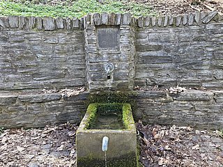 Joducusbrunnen im Wald von Wehlen