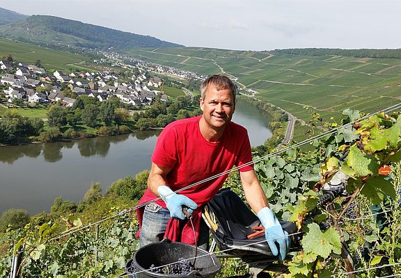 Winzer im Weinberg