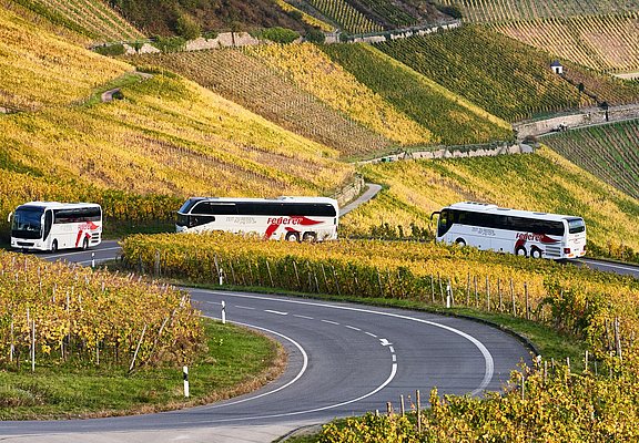 Feuerer Busse auf Fahrt an der Mosel