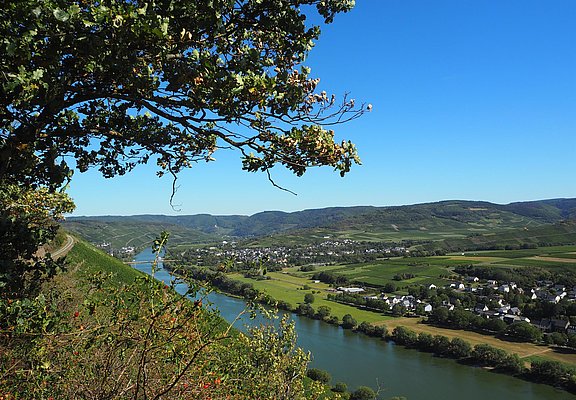 Ausblick Richtung Bernkastel-Kues