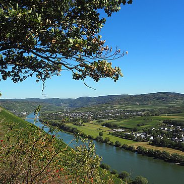 Ausblick Richtung Bernkastel-Kues