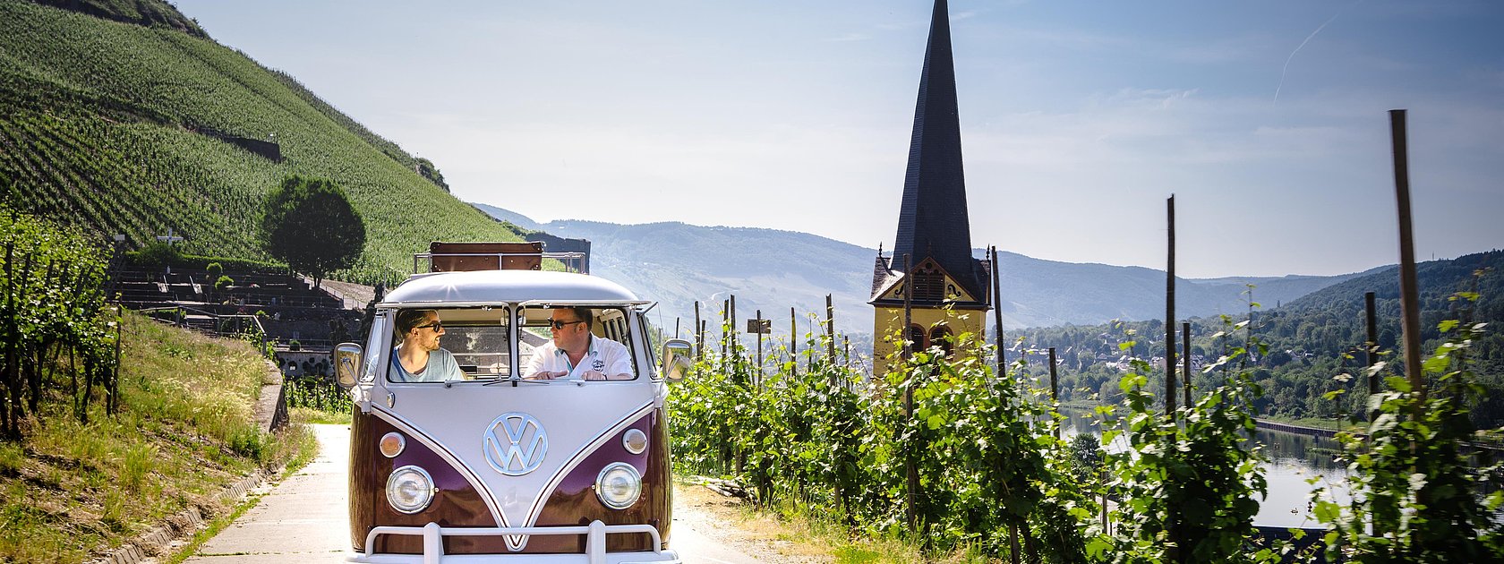 Bulli Tour durch die Weinberge
