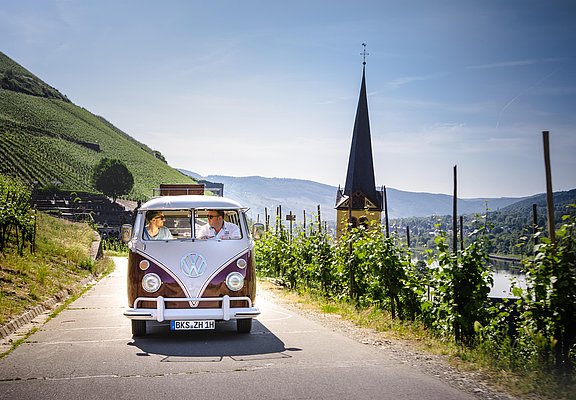 Bulli Tour durch die Weinberge