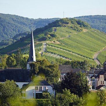 Mülheim an der Mosel