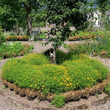 Blumenbeet
