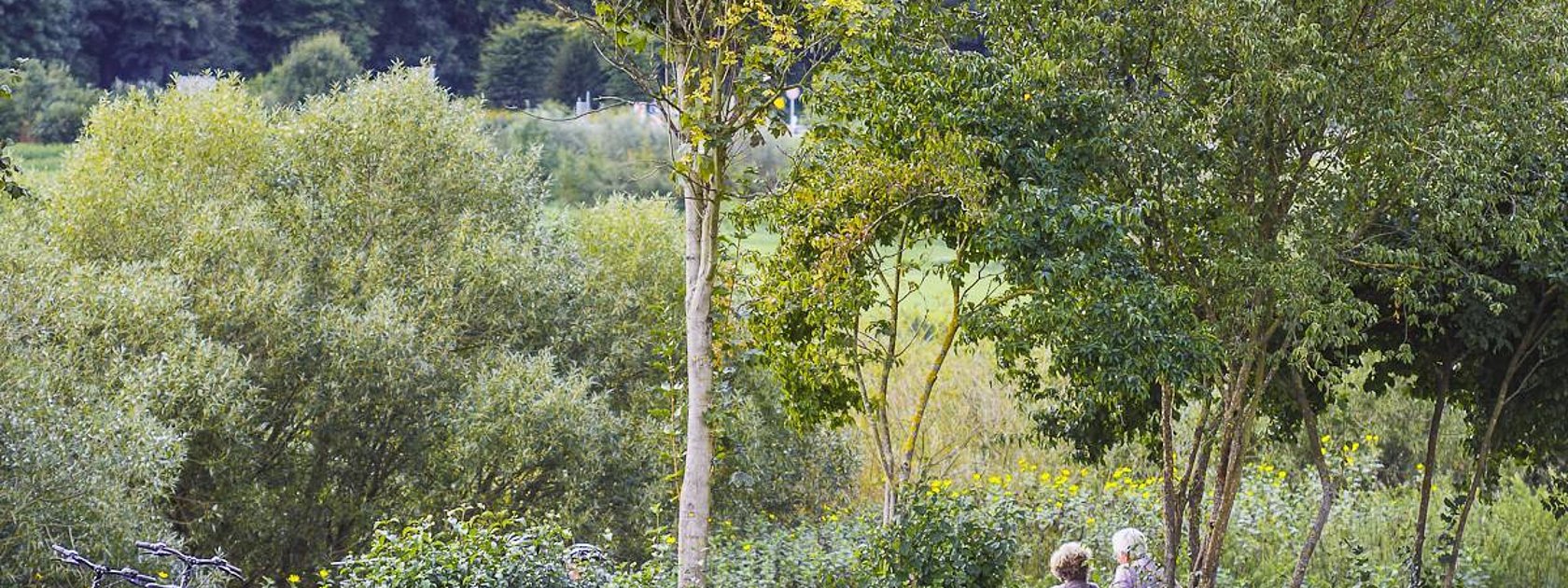 Am Moselufer in Zeltingen