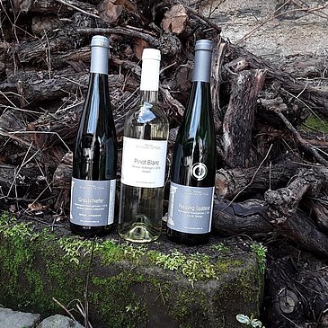 Weine Weingut Schneider-Kettern