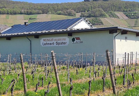 Weingut Lehnert-Später