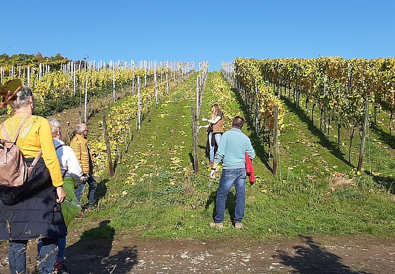 Weinprobenspaziergang durch die Weinberge