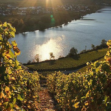 Abendlicht