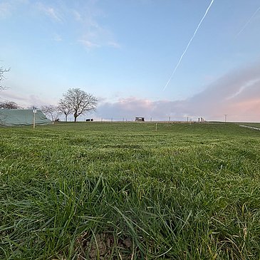 Garten 3