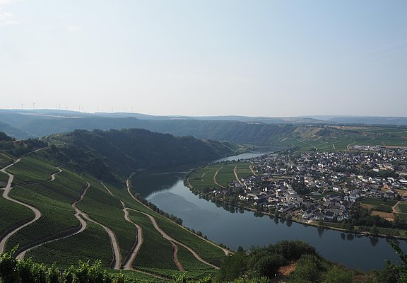 Moselblick bei Piesport