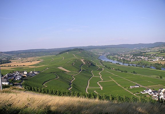 Moselblick