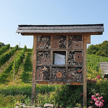 Insektenhotel an der Ruheinsel