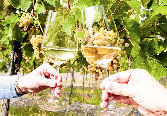 Genuss im Weinberg