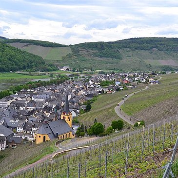 Ausblick Zeltingen