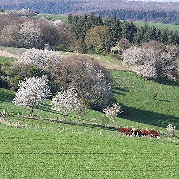 Blick ins Tal
