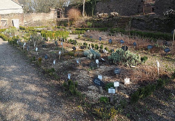 Abtsgarten Klausen mit Kräuterbeet
