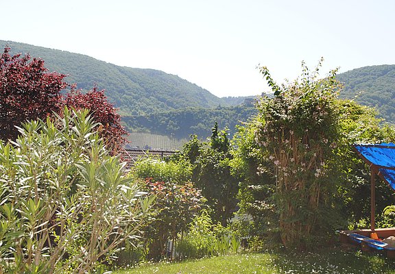 Gartenblick von der Terrasse aus
