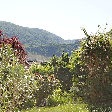 Gartenblick von der Terrasse aus