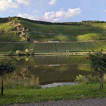 Umgebung