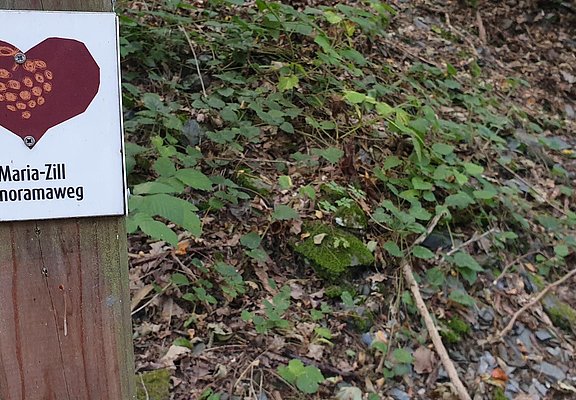Gleichnamiger Wanderweg - für Geübte ...