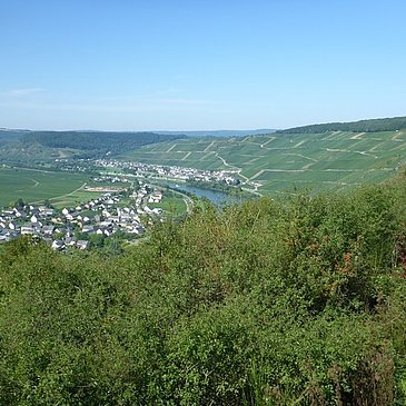 Aussicht vom "Hinkelstein" auf die Klüsserather Weinberge
