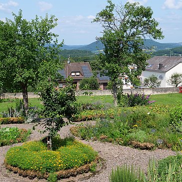Blick im Garten