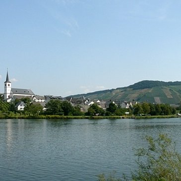 Minheim an der Mosel