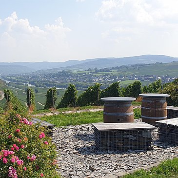 Ruheinsel bei Osann-Monzel