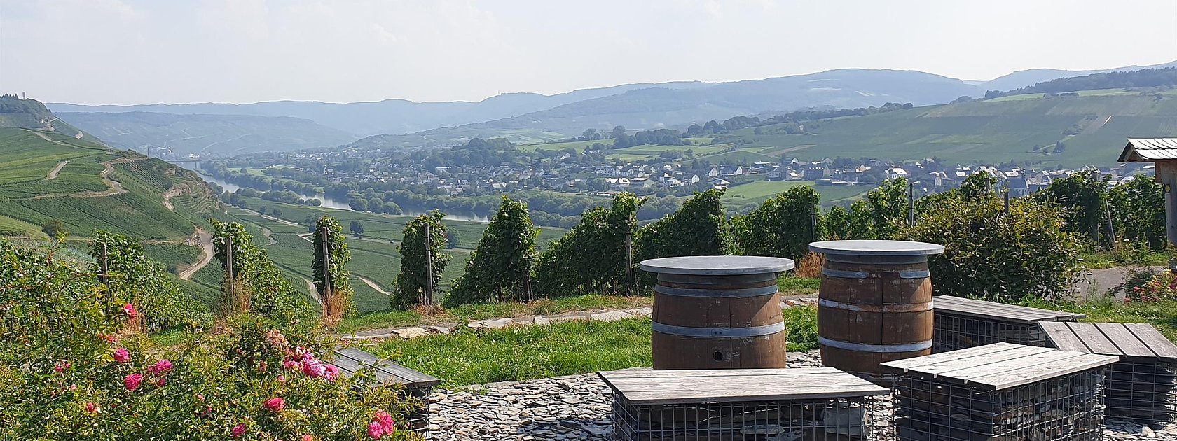 Ruheinsel bei Osann-Monzel