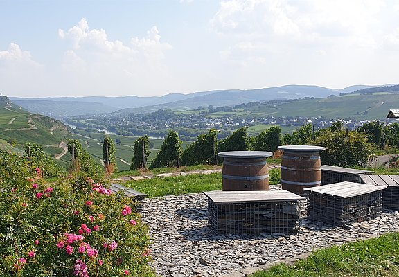 Ruheinsel bei Osann-Monzel