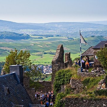 Schloss Veldenz Ausblick